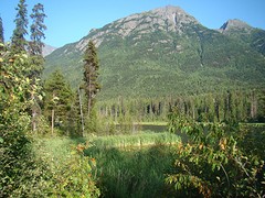 vieuwpoint 7