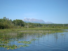 Tyhee Lake