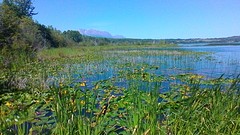 P_20160802_210233