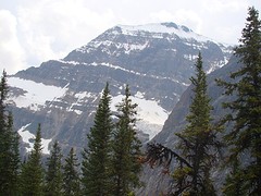 DSC01571