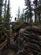 Maligne Canyon