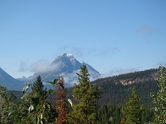 Athabasca Glacier 2 (6)