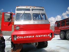 Athabasca Glacier 2 (7)