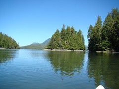 DSC00597