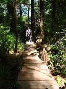 DSC00595