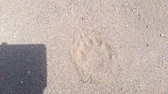 P_20160803_224220