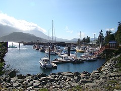 DSC00718