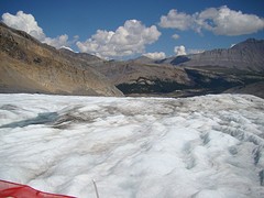 Athabasca Glacier 2 (8)