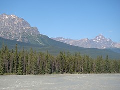 DSC01624