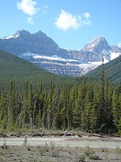 DSC01631