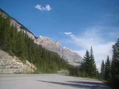 DSC01719