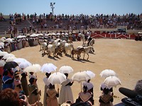 1 (17)traditionele spelen