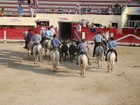 1 (25)traditionele spelen