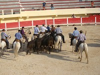 1 (29)traditionele spelen