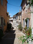 Arle1 (17)