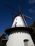 Den Molen Lier