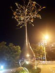 20190903_145356