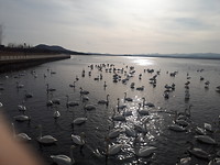 20191214_063726