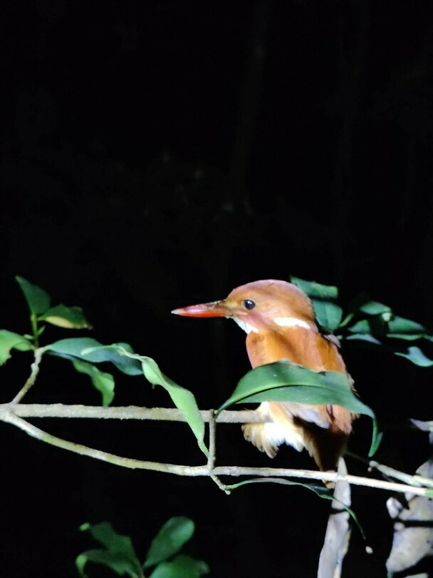 madagascar