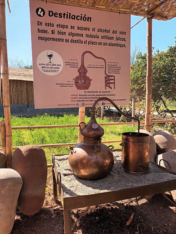 20240723_135338