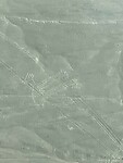 Nazca tekening