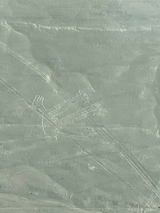 Nazca tekening