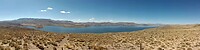 Puno