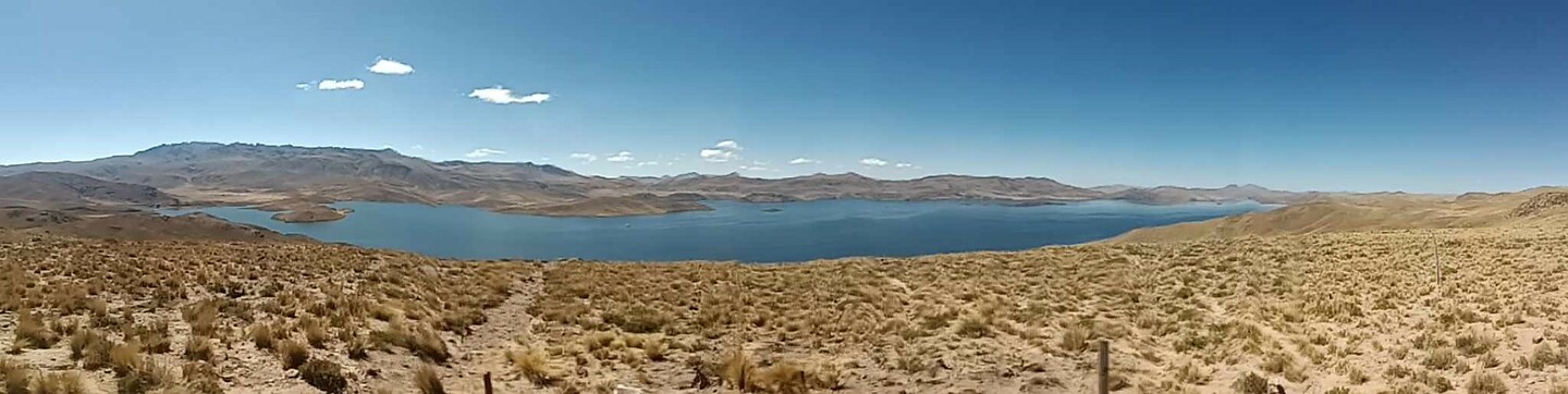 Puno