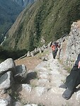 Trail