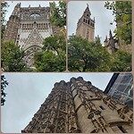 InShot_20251115_213447287