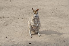 Wildlife park