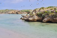 De kust in Warrnambool is prachtig!
