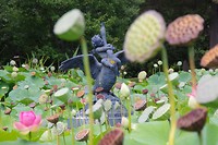 Botanic Garden