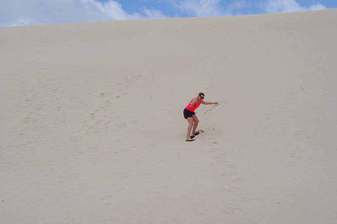 Sandboarden