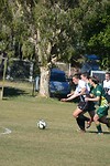 Byron Bay Wildcats