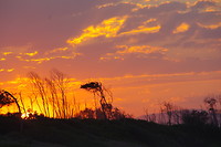Sunset foto nummer 1000 (?)