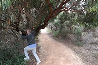 Bep kon de boom in