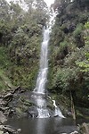 Erskine Falls bij Lorne