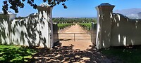 Groot constantia
