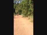 dirt road
