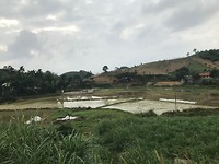 D9005B36-2162-43E5-95DE-3D607F6ACA56
