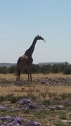 20161014_110411