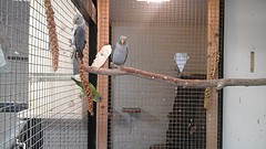 20161022_160909