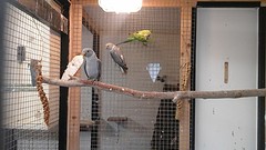20161022_160638