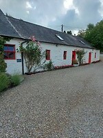 Avoca