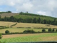 Uitzicht onderweg