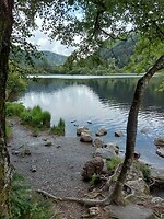 Upper Lake