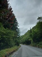 Weg
