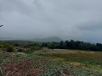 Berg in de wolken