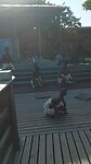Dansen Zuid-Afrika jongeren